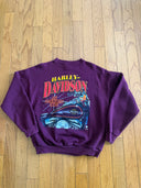 1995 HARLEY DAVIDSON CREWNECK - Size Large - Made in USA - BOXY
